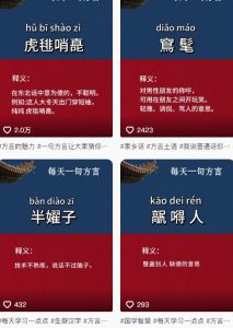 抖音最新涨粉玩法，图文方言暴力涨粉实操，126作品涨粉11W-稀缺资源库