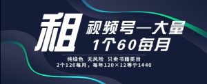 租视频号,一个60每月,2个120.纯绿色、无风险,常年租【揭秘】-稀缺资源库