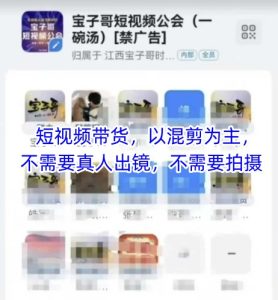 宝子哥头部团队短视频带货,以混剪为主,不需要真人出镜,不需要拍摄【更新】-稀缺资源库