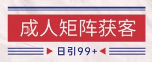 小红书某音橙人赛道引流获客，自热矩阵日引200+【揭秘】-稀缺资源库