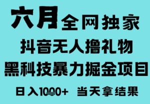 25年6月高爆抖音无人直播最新撸音浪掘金项目，门槛低小白可做，无脑日入1k，可矩阵放大【揭秘】-稀缺资源库