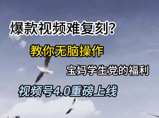 视频号4.0重磅上线，爆款视频难复刻？教你无脑操作宝妈学生党的福利【揭秘】-稀缺资源库