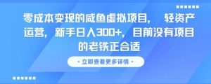 零成本变现的咸鱼虚拟项目, 轻资产运营,新手日入3张+,目前没有项目的老铁正合适-稀缺资源库