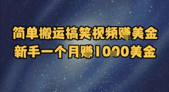 简单搬运搞笑视频挣美金，新手一个月入1k美金-稀缺资源库