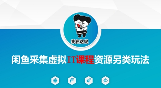 闲鱼采集虚拟IT课程资源另类玩法，干货满满-稀缺资源库
