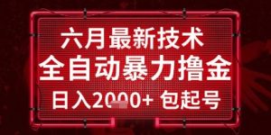 六月最新技术全自动暴力撸金,稳定日入2k+包起号,长期稳定【揭秘】-稀缺资源库