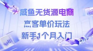 咸鱼无货源电商，高客单价玩法，新手1个月入门-稀缺资源库