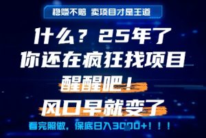 什么?25年你还在疯狂找项目做,醒醒吧,看完这些你全都懂了!【揭秘】-稀缺资源库