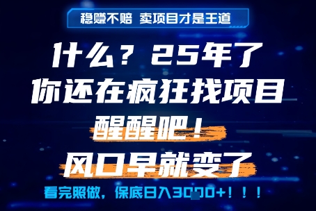 什么？25年你还在疯狂找项目做，醒醒吧，看完这些你全都懂了！【揭秘】-稀缺资源库