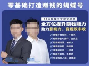 蝴蝶号专栏-视频号运营教程，零基础打造挣钱的蝴蝶号，14天蝴蝶号变现全攻略-稀缺资源库