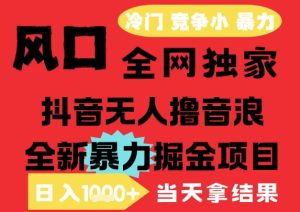 25年6月高爆抖音无人直播最新撸音浪掘金项目，解放双手小白可做，无脑日入1k+，门槛低【揭秘】-稀缺资源库