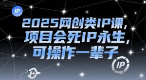 2025网创类IP课，项目会死IP永生，可操作一辈子-稀缺资源库