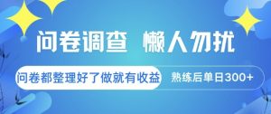 问卷调查，懒人勿扰，问卷都整理好了单价不等，做就有收益，熟练后单日3张【揭秘】-稀缺资源库