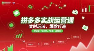 拼多多实战运营课,实时玩法,爆款打造,改销量,补大单,AB单,直播等(更新2025月)-稀缺资源库