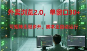 外卖浏览2.0,单窗口30+可矩阵无限多开,脚本全自动运行【揭秘】-稀缺资源库