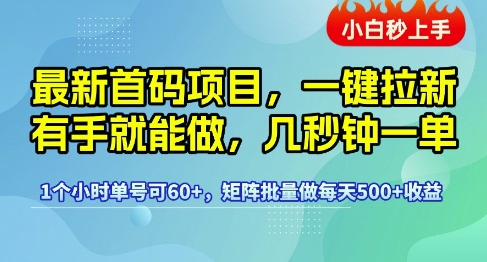 最新首码项目，一键拉新有手就能做，几秒钟一单，1个小时单号可60+，矩阵批量做每天5张【揭秘】-稀缺资源库