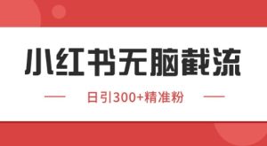 小红书截流同行客源,独家野路子获客玩法 日引200+暴力获客【揭秘】-稀缺资源库