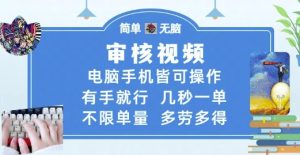 审核视频,电脑手机皆可操作,有手就行,几秒一单,不限单量,多劳多得【揭秘】-稀缺资源库