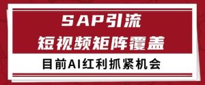 小红书某音sap赛道引流获客 自热矩阵日引200+【揭秘】-稀缺资源库