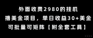 外面收费2980的挂G撸美金项目,单日收益30+美金,可批量可矩阵【揭秘】-稀缺资源库