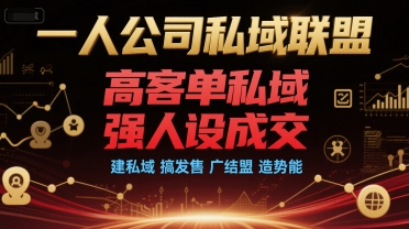 一人公司私域联盟，高客单私域，强人设成交，建私域 搞发售 广结盟 造势能-稀缺资源库