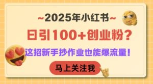 2025年小红书日引100+创业粉？这招新手抄作业也能爆流量！-稀缺资源库