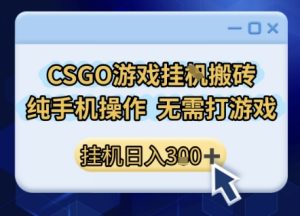 CSGO游戏挂G搬砖，小白纯手机即可操作，不用电脑打游戏，日入3张+，副业网创项目【揭秘】-稀缺资源库