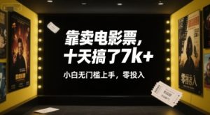 靠卖电影票,十天搞了7k+,小白无门槛上手,零投入【揭秘】-稀缺资源库