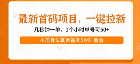 最新首码项目，操作最简单，收益高，一键拉新，1个小时单号可50+，小项目认真做每天5张+收益【揭秘】-稀缺资源库