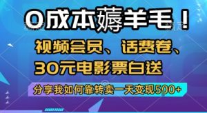 0成本薅羊毛!视频会员、话费卷、30元电影票白送,分享我如何靠转卖一天变现5张+【揭秘】-稀缺资源库