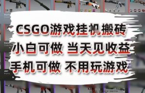 CSGO游戏挂G搬砖，小白纯手机即可操作，不用电脑打游戏，日入3张+，副业网创项目【揭秘】-稀缺资源库