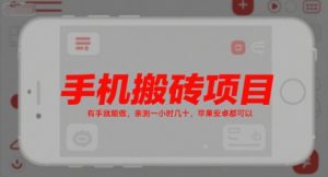 手机搬砖项目，有手就能做，亲测一小时几十，苹果安卓都可以-稀缺资源库