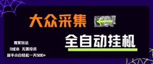 大众采集全自动玩法，新手小白轻松一天5张+，操作简单零成本【揭秘】-稀缺资源库