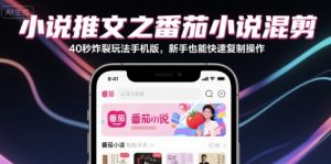 小说推文之番茄小说混剪40秒炸裂玩法手机版，新手也能快速复制操作-稀缺资源库