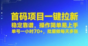 首码项目一键拉新,稳定靠谱,操作简单易上手,单号一小时70+,批量做每天多张【揭秘】-稀缺资源库