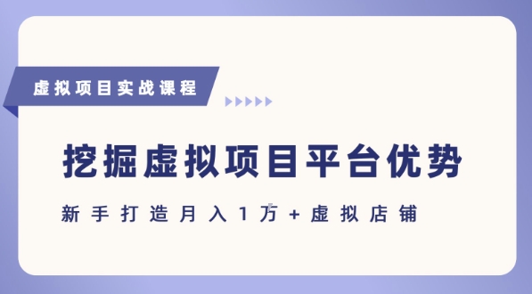 抓住虚拟项目各平台优势，新手轻松月入1W+(给出具体建议)-稀缺资源库