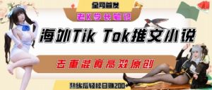 海外tiktok小说推文暴力项目，高停留率，高转化率，上手后一天搞顿饭钱不是问题-稀缺资源库