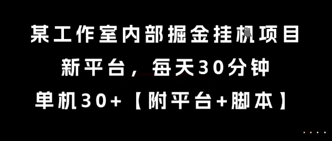 某工作室内部掘金挂G项目，新平台，每天30分钟，单机30+【揭秘】-稀缺资源库