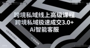 跨境私域线上高级课程,跨境私域极速成交3.0+Ai智能客服-稀缺资源库