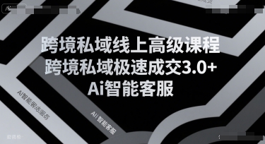 跨境私域线上高级课程，跨境私域极速成交3.0+Ai智能客服-稀缺资源库