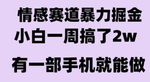 情感暴力掘金项目，新人操作一周挣了2W，长期稳定小白可做【揭秘】-稀缺资源库