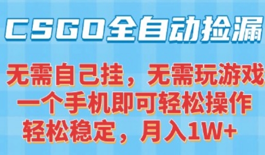 CSGO自动捡漏项目，最新独家玩法，一个手机可操作，新手小白轻松月入1W+，操作简单易上手【揭秘】-稀缺资源库