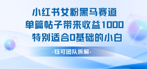 小红书女粉黑马赛道单篇帖子带来收益1k+，特别适合0基础的小白-稀缺资源库