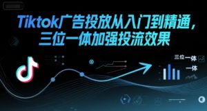 Tiktok广告投放从入门到精通,三位一体加强投流效果-稀缺资源库