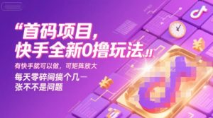 首码项目,快手全新0撸玩法,有快手就可以做,可矩阵放大,每天零碎时间搞个几张不是问题【揭秘】-稀缺资源库