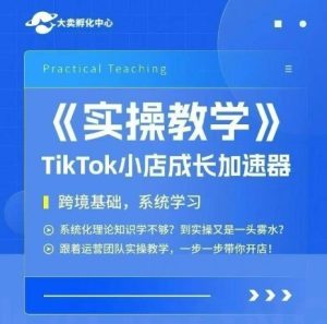 大卖家孵化中心TikTok实操课,TikTok小店成长加速器,跨境基础系统学习,一步一步带你开店-稀缺资源库