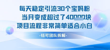 每天稳定引流30个人 当月变成超过了4个W项目流程非常简单适合小白-稀缺资源库