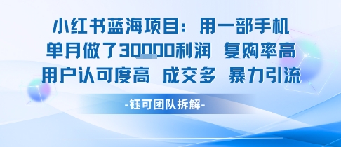 小红书蓝海项目，一部手机单月做了3W利润，小白也能月入过1W用户认可度高成交多-稀缺资源库