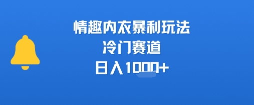 情趣内衣暴利玩法，冷门赛道，日入1k+-稀缺资源库
