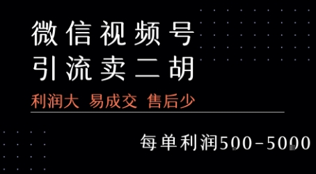 视频号卖二胡教程，利润大 易成交 售后少，一单利润5张+-稀缺资源库